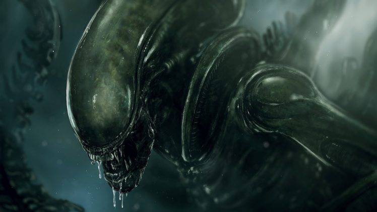245033-Alien_movie-Xenomorph-748x421.jpg