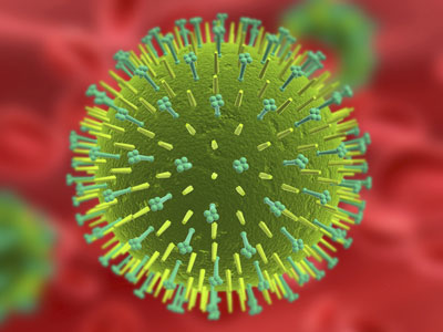 influenza-virus-3d.jpg