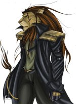 Lions Adjectives 3.jpg