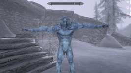 T POSE.jpg