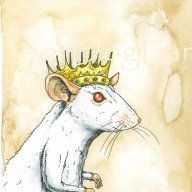The King Of Rats