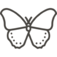 Sugarpie-moth