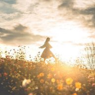 Wildflower