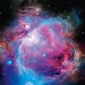Orion's Nebular