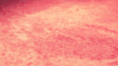e73u4U8.gif